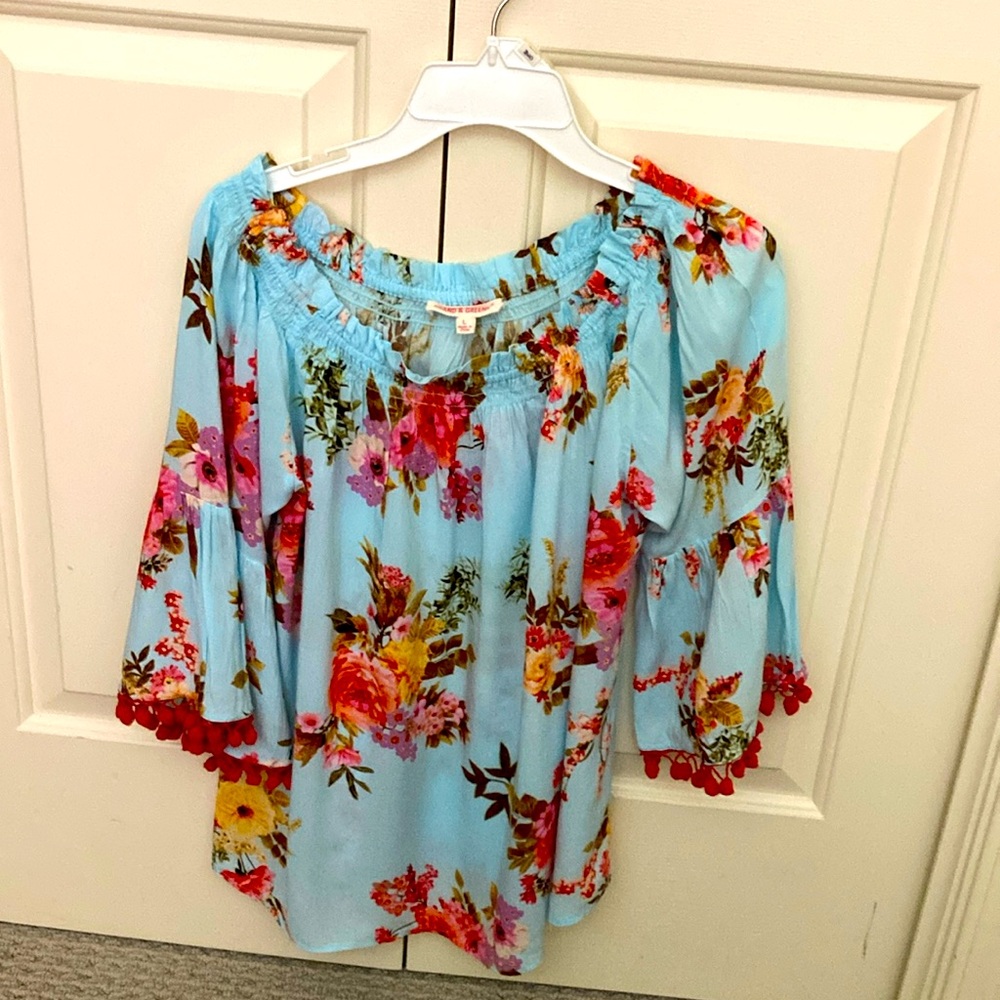 Grand and Green robins egg blue and red floral kimono sleeve top